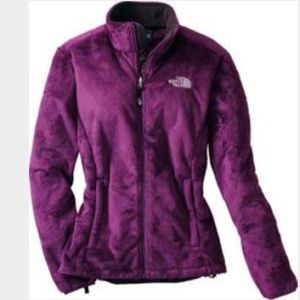 dark purple north face jacket
