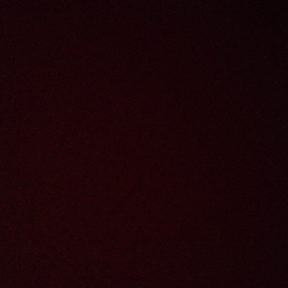 Meet your Posher, Bentley - Picture 1 of 1