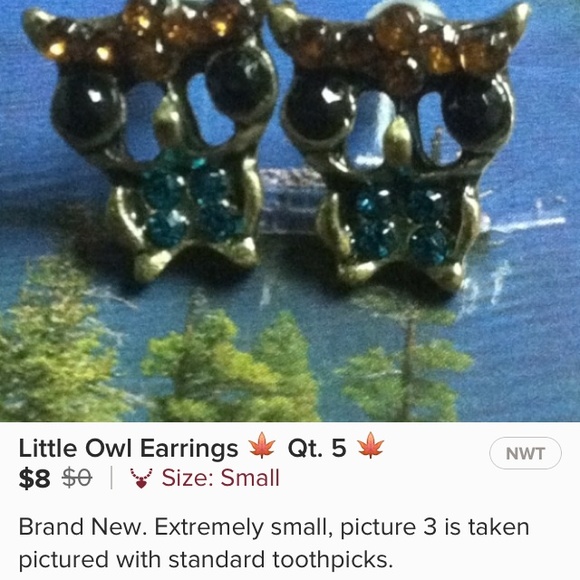 Tiny Little Owl Earrings - Picture 5 of 5