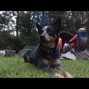 Meet your Posher, Ali