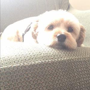 Meet your Posher, Michelle