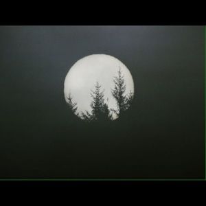 Meet your Posher, Sofia