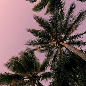 Meet your Posher, Selena