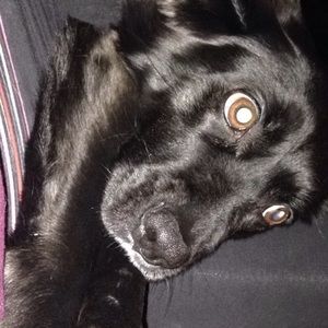 Meet your Posher, Victoria