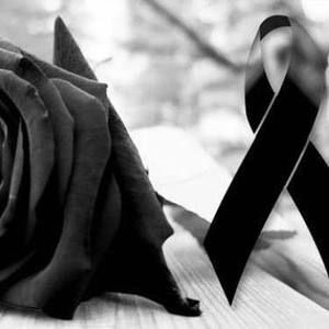 Meet your Posher, Karina