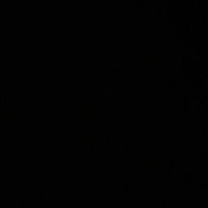 Meet your Posher, Ace