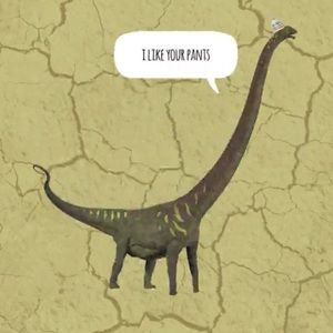 Meet your Posher, Jayme