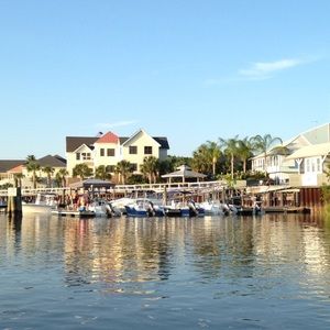 Meet your Posher, Mackenzie