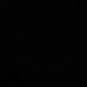 Meet your Posher, Solomon