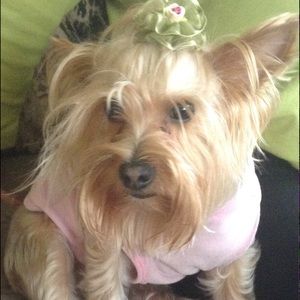 Meet your Posher, Andreina