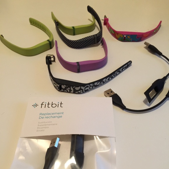 Fitbit Flex and Six Bands