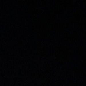 Meet your Posher, Riley