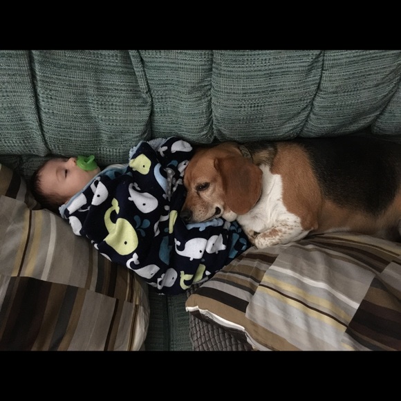 Meet your Posher, Chris - Picture 1 of 1