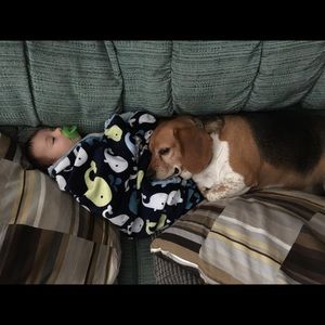 Meet your Posher, Chris