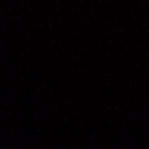 Meet your Posher, Daphne