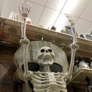 Meet your Posher, Sam