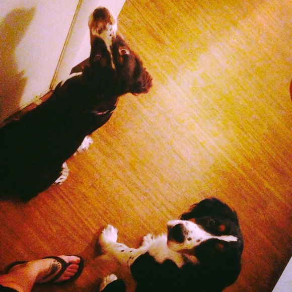 Meet Me! - Picture 4 of 4