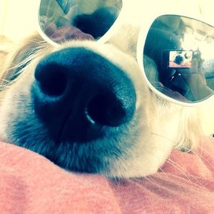 Meet your Posher, Gebrey