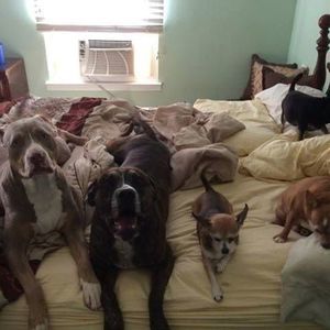 Meet your Posher, Rita