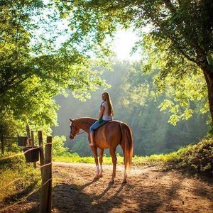 Meet your Posher, Misty