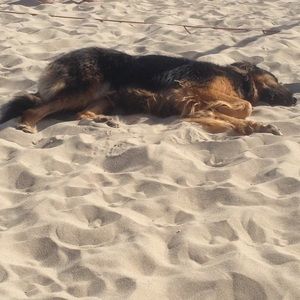 Meet your Posher, Deb