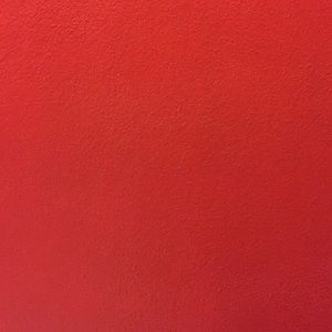 Meet your Posher, Tabitha