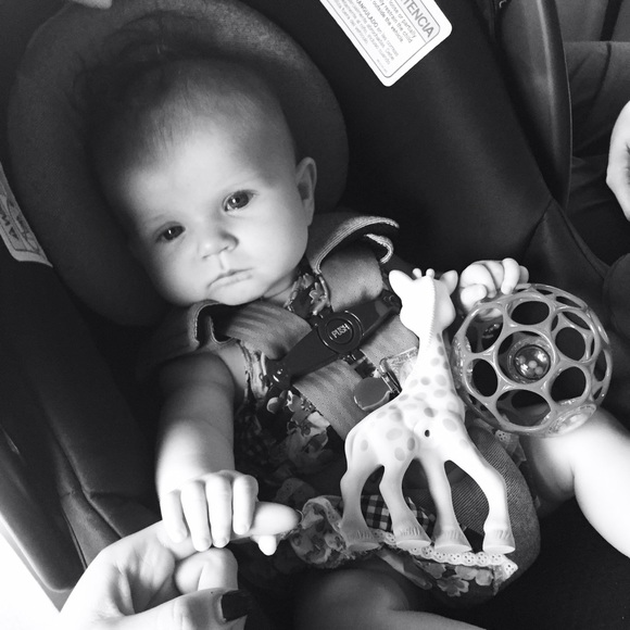 Meet your Posher, Han! - Picture 4 of 4