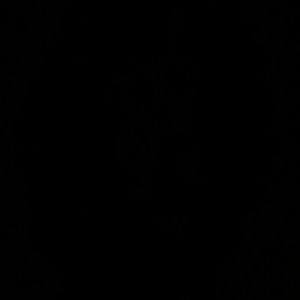 Meet your Posher, Shelly