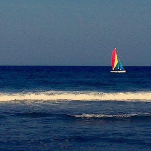 Meet your Posher, Dorothy