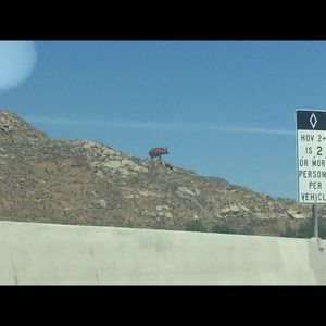 Meet your Posher, Norma