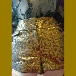 Gold and Black Metallic Shorts (all-season)