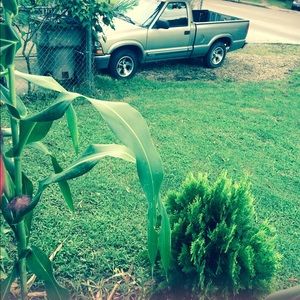 Meet your Posher, Manita