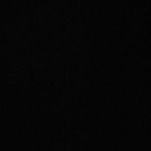 Meet your Posher, Lily