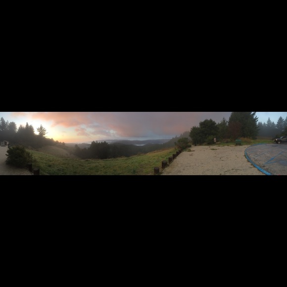 Meet your Posher, Margo - Picture 3 of 4