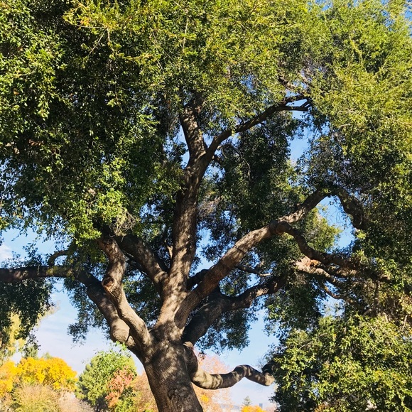 Meet your Posher, Margo - Picture 4 of 4