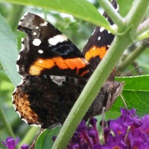 Meet your Posher, April