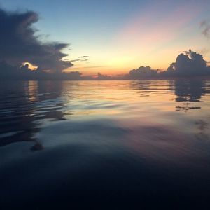 Meet your Posher, Kelli nicole