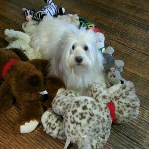 Meet your Posher, Ruchi