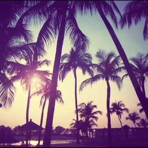 Meet your Posher, Penny