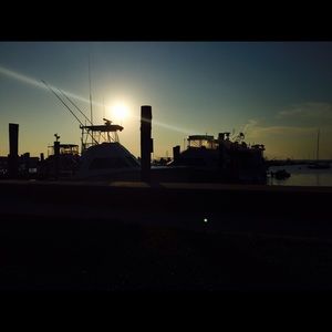 Meet your Posher, Aili