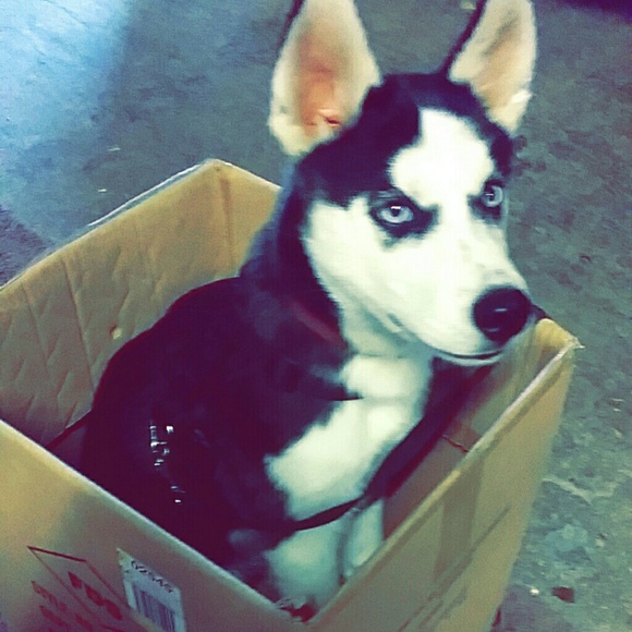 A little about me. - Picture 2 of 5