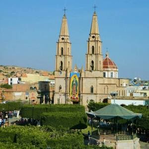 Meet your Posher, Luz