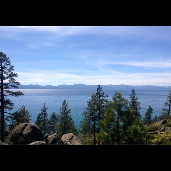 Meet Your Seller 😊 - Picture 2 of 2