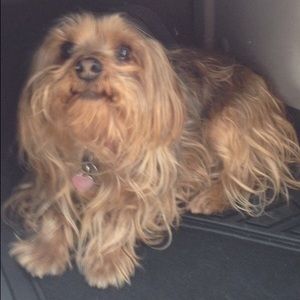 Meet your Posher, Kathy