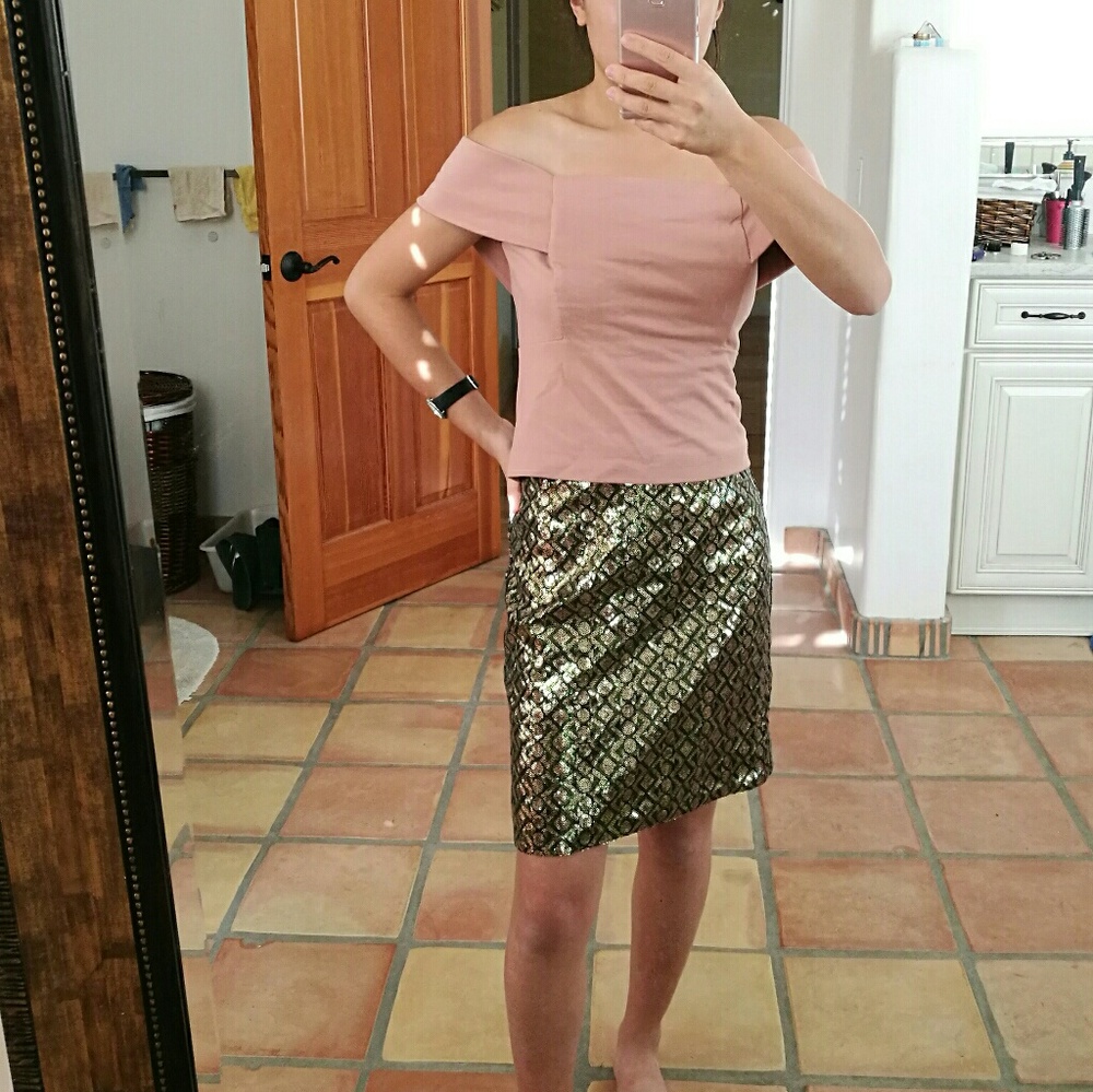 NWT Banana Republic Pencil Skirt