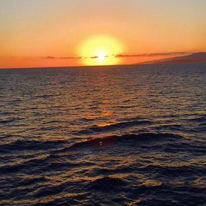 Meet your Posher, Jake