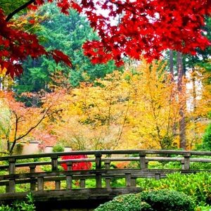 Meet your Posher, Miguel