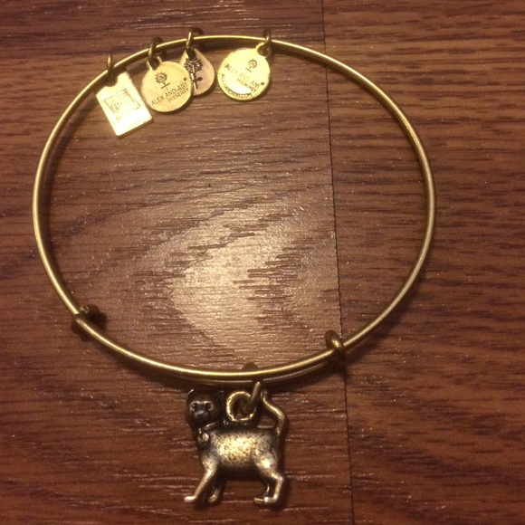 Alex & Ani - gold
