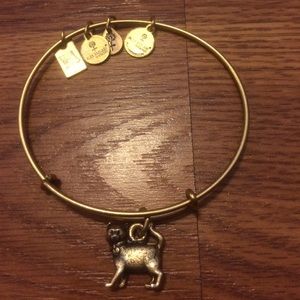 Alex & Ani - gold