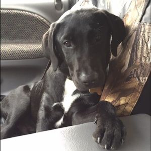 Meet your Posher, Jacey